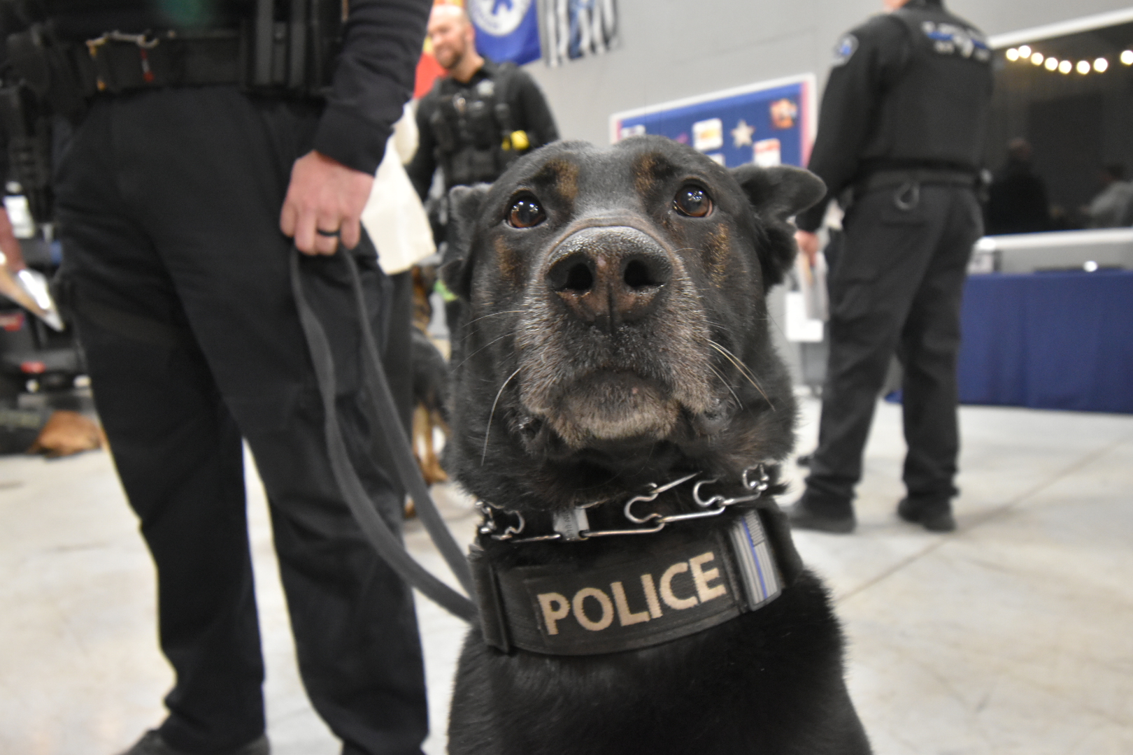 The Multi-Agency Academic Cooperative Foundation (MAAC) recently awarded $50,000 to nine local police departments, including La Porte police, in an effort to strengthen their K9 units with updated equipment, vehicle modification, and access to elite training programs.