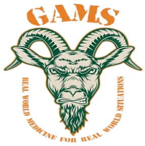 https://maacfoundation.org/wp-content/uploads/2025/08/GAMS-logo.png